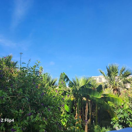 Deluxe Studio Athos 50 Mp Garden Patio Benalmadena Golf & Beach 外观 照片
