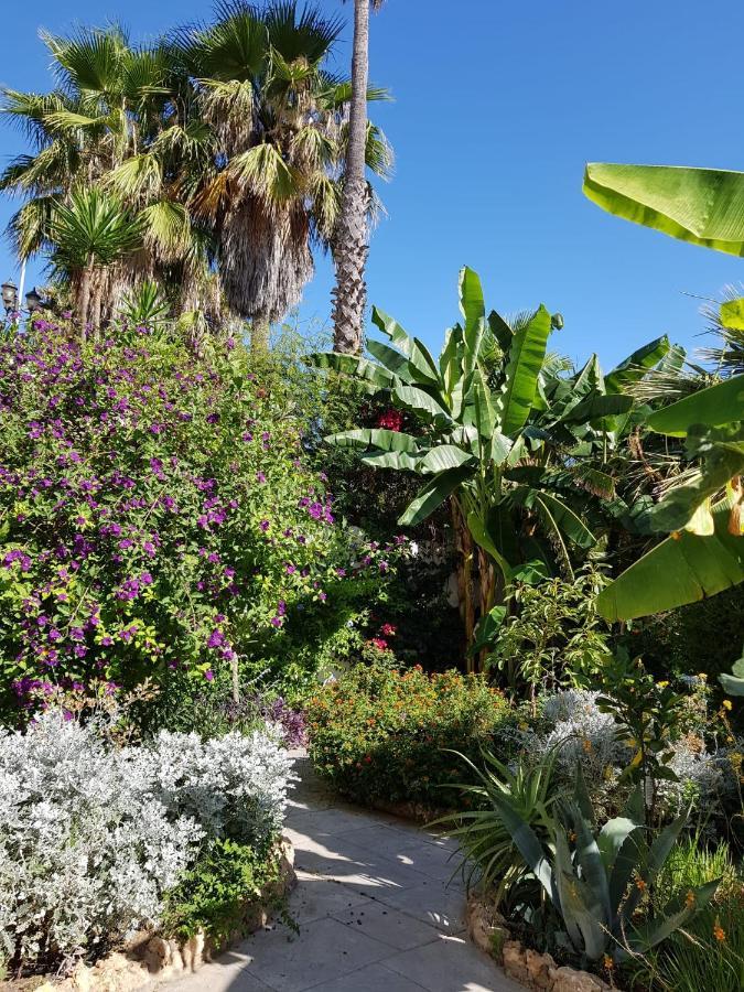 Deluxe Studio Athos 50 Mp Garden Patio Benalmadena Golf & Beach 外观 照片