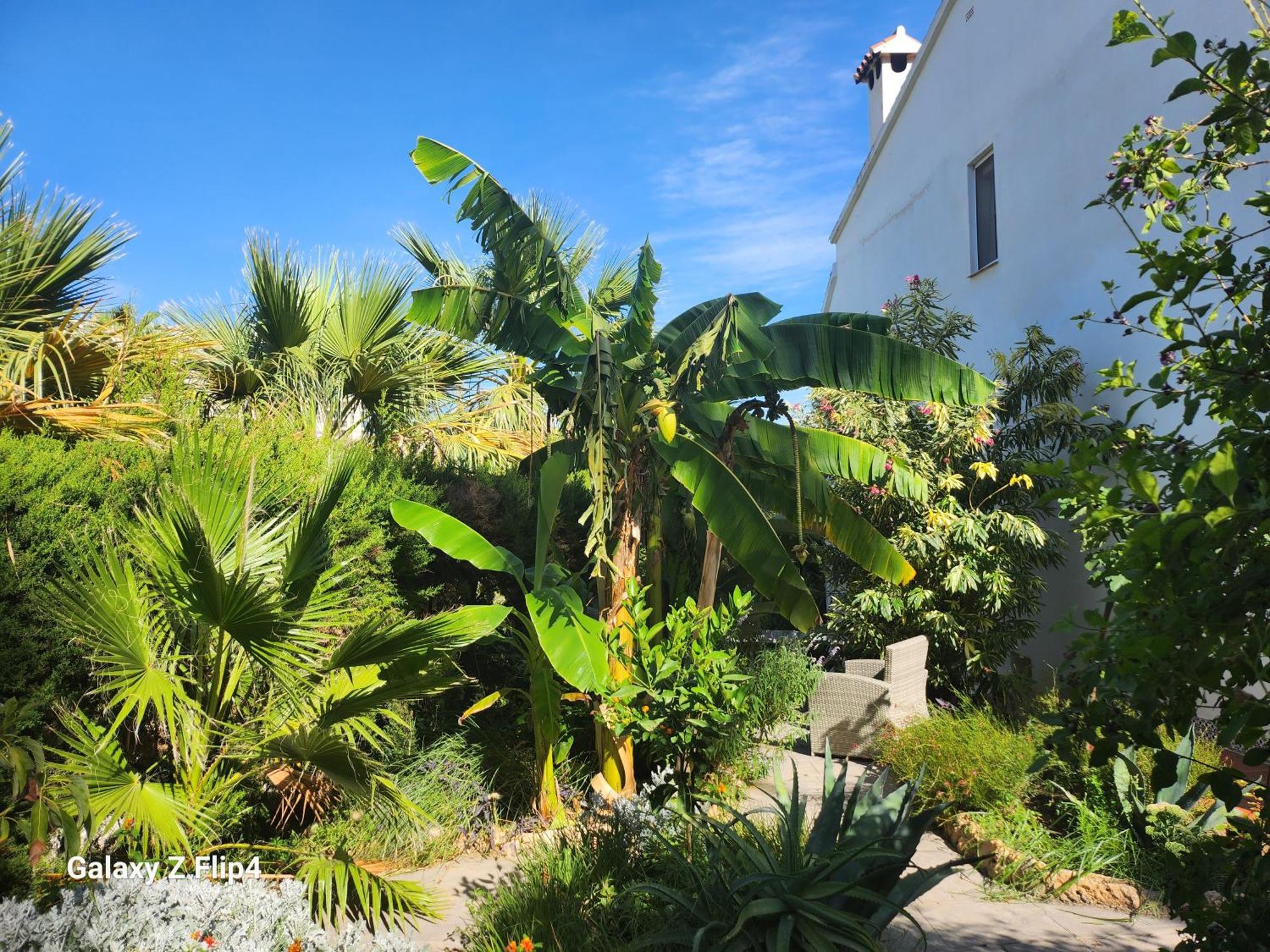 Deluxe Studio Athos 50 Mp Garden Patio Benalmadena Golf & Beach 外观 照片
