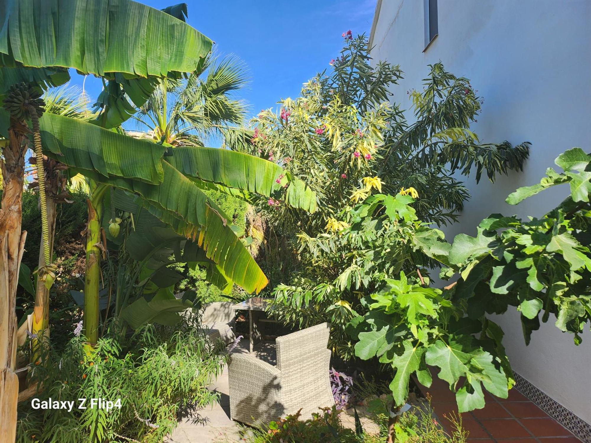 Deluxe Studio Athos 50 Mp Garden Patio Benalmadena Golf & Beach 外观 照片