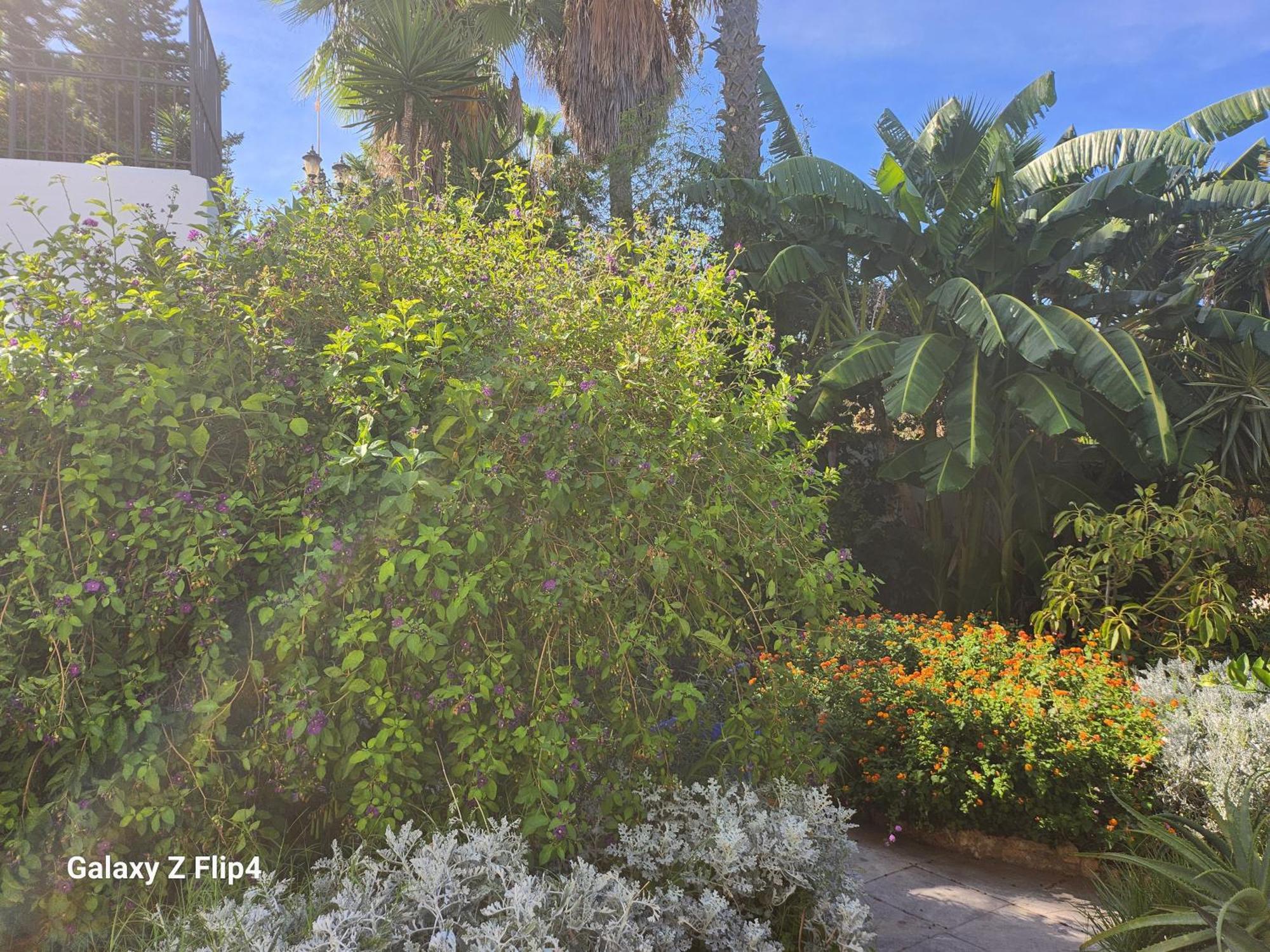 Deluxe Studio Athos 50 Mp Garden Patio Benalmadena Golf & Beach 外观 照片